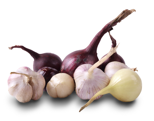 Erilaisia sipulilajeja. Tavallinen sipuli oikealla.