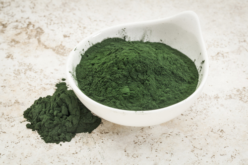 Spirulina.jpg